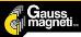 logogaussmagneti2